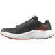Salomon Pulsar